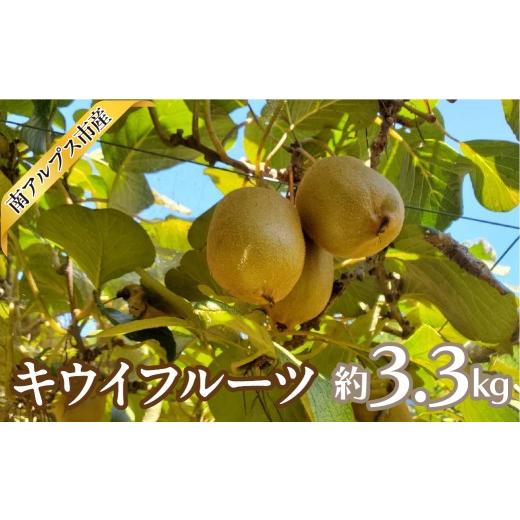 ふるさと納税 果物類 山梨県 南アルプス市 2026年度先行予約 キウイフルーツ 3.3kg ALPAJ070 | 令和8年度発送 くだもの 果物 ヘイワード キウイ フルー…