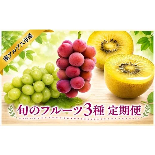 ふるさと納税 ぶどう マスカット 山梨県 南アルプス市 通年受付 南アルプス産 旬のフルーツ3種 定期便 全3回 ALPAJ073 | 果物 くだもの フルーツ 葡萄 ぶ…