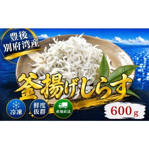 ふるさと納税 魚貝類 しらす 大分県 杵築市 豊後別府湾釜揚げしらす 計 600g(300g×2p) 国産 添加物不使用 / 釜揚げしらす かまあげしらす カマアゲシラス …