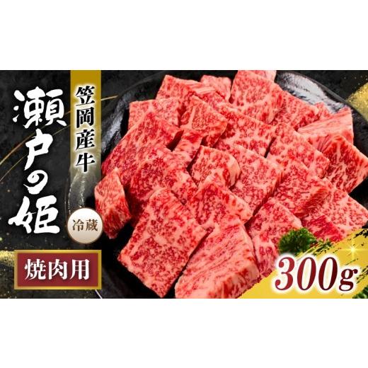 ふるさと納税 牛肉 焼肉・バーベキュー 岡山県 真庭市 焼肉用 冷蔵配送 瀬戸の姫 300g以上 岡山県笠岡産牛 牛肉 焼肉 焼き肉 カット 贅沢 tfam001-01