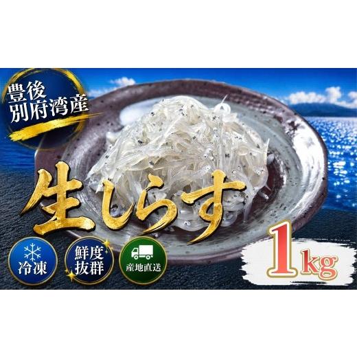 ふるさと納税 魚貝類 しらす 大分県 杵築市 豊後別府湾生しらす 計 1kg(100g×10パック) 国産 添加物不使用 / 生しらす しらす 国産 小分け 冷凍 生シラス …