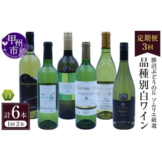ふるさと納税 ワイン セット 山梨県 甲州市 定期便 勝沼ぶどうの丘ソムリエ厳選 白ワイン3品種3回定期便(KBO)J1-801 ワイン 白ワイン セット 甲州市 山梨県…