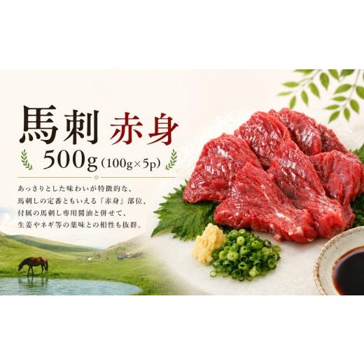 ふるさと納税 馬肉 長野県 伊那市 馬刺 赤身 500g (100g×5p) 馬刺しの長野屋 | 馬刺し 赤身 ロース タレ付き 馬刺し 馬刺 長野 信州 馬肉 お肉 刺身 冷凍 真…