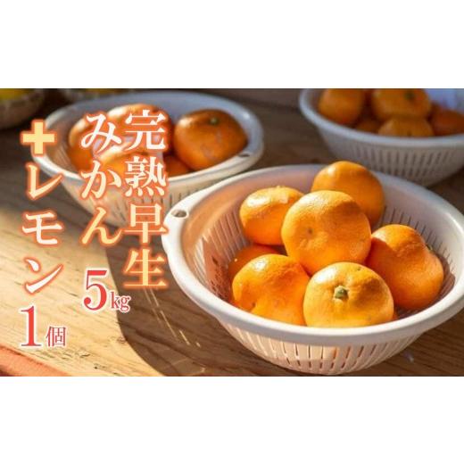 ふるさと納税 果物類 みかん 神奈川県 湯河原町 先行予約 完熟早生みかん5kgと璃の香(レモン)1個 2026年12月下旬以降発送