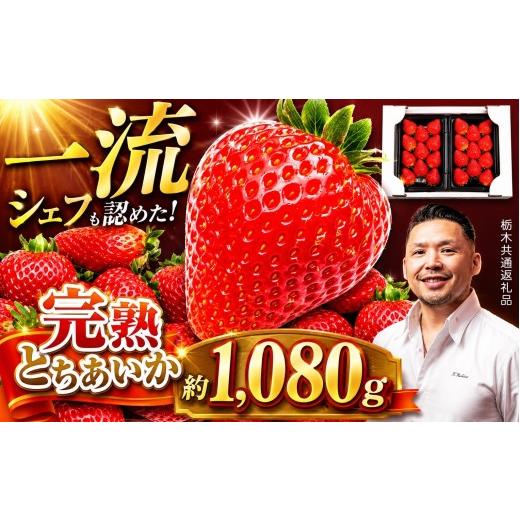 ふるさと納税 いちご 栃木県 那珂川町 栃木県共通返礼品 先行予約 完熟とちあいか Grande(グランデ)270g×4P | とちあいか 完熟 果物 くだもの 果汁 果肉 …