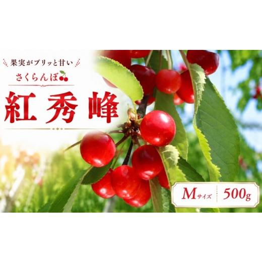 ふるさと納税 果物類 さくらんぼ 岩手県 盛岡市 先行予約 さくらんぼ 紅秀峰 M 500g 6月下旬発送 大粒 果汁 甘 ジューシー 人気 果物 フルーツ 国産 産地直送…