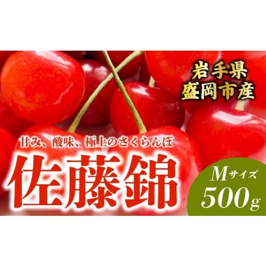ふるさと納税 果物類 さくらんぼ 岩手県 盛岡市 先行予約 さくらんぼ 佐藤錦 M 500g 6月下旬発送 大粒 果汁 甘 ジューシー 人気 果物 フルーツ 国産 産地直送…