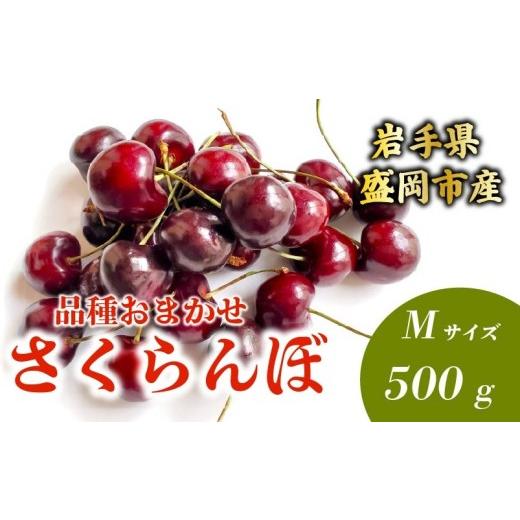 ふるさと納税 果物類 さくらんぼ 岩手県 盛岡市 先行予約 さくらんぼ 品種おまかせ(紅さやか/小夏) M 500g 6月下旬発送 大粒 果汁 甘 ジューシー 人気 果…