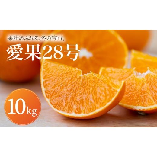 ふるさと納税 果物類 みかん 愛媛県 松山市 紅まどんな と同品種 あいか28号 家庭用 10kg 2026年11月下旬頃から順次発送 | みかん 愛果28号 あいか 紅マドン…