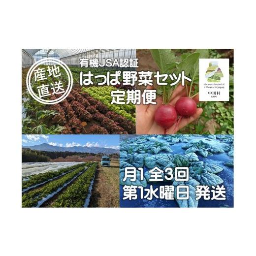 ふるさと納税 野菜類 長野県 中川村 農園直送 はっぱ屋のはっぱ野菜セット定期便 3回 月1回 第1水曜日発送