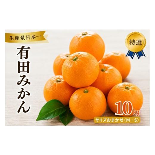 ふるさと納税 果物類 みかん 和歌山県 紀美野町 有田 みかん 特選 10kg / 温州みかん 有田みかん 甘い 高級 和歌山 柑橘 2026年12月順次発送予定 北海道・沖…