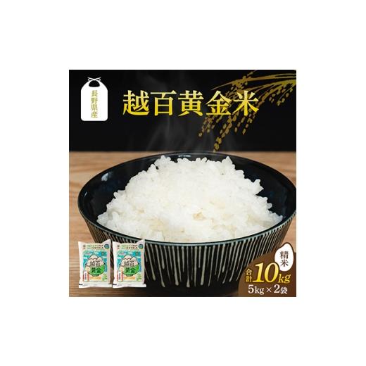 ふるさと納税 米 長野県 飯島町 長野県産 越百黄金米(精米)5kg×2袋 1737901