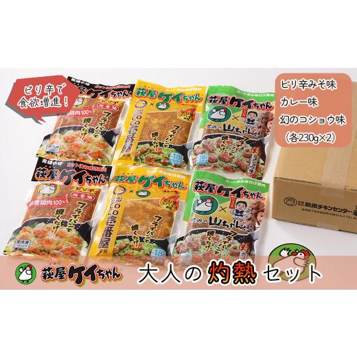 ふるさと納税 鶏肉 岐阜県 下呂市 萩屋ケイちゃん 大人の灼熱セット ピリ辛みそ味・カレー味・幻のコショウ味(各230g×2)計6パック 冷凍配送 けいちゃん 鶏…