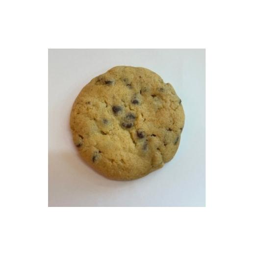 ふるさと納税 焼菓子・チョコレート クッキー 京都府 与謝野町 チョコチップ クッキー10個セット 焼き菓子を京都府与謝野町よりお届け 1738776