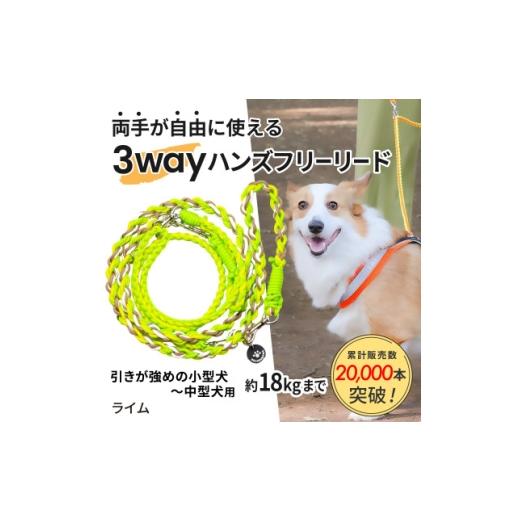 ふるさと納税 雑貨・日用品 静岡県 掛川市 犬用 3WAYハンズフリーリード(引きが強めの小型〜中型犬)ライム ゴールデンママ 1743154
