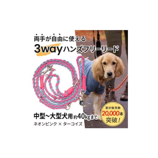 ふるさと納税 雑貨・日用品 静岡県 掛川市 犬用 3WAYハンズフリーリード(中型〜大型犬用)ネオンピンク×ターコイズ ゴールデンママ 1743317