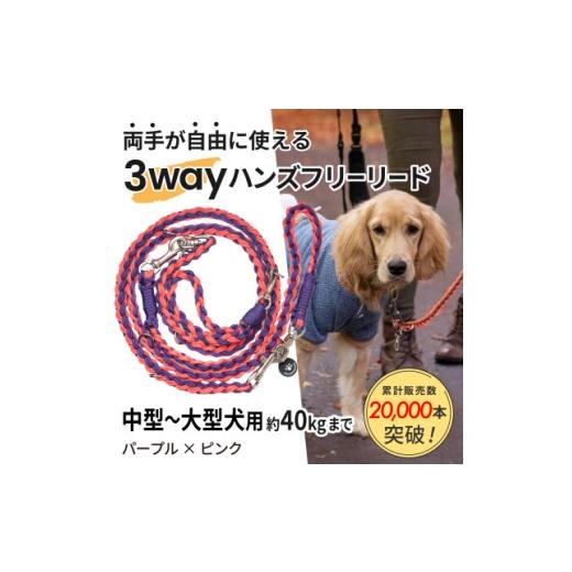 ふるさと納税 雑貨・日用品 静岡県 掛川市 犬用 3WAYハンズフリーリード(中型〜大型犬用)パープル×ピンク ゴールデンママ 1743319