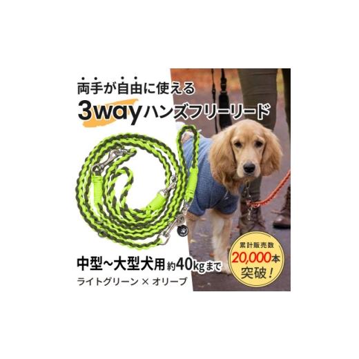 ふるさと納税 雑貨・日用品 静岡県 掛川市 犬用 3WAYハンズフリーリード(中型〜大型犬用)ライトグリーン×オリーブ ゴールデンママ 1743322