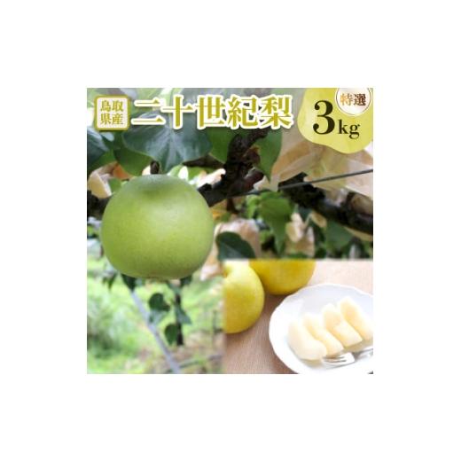 ふるさと納税 梨 鳥取県 伯耆町 二十世紀梨 特選3kg 1733753