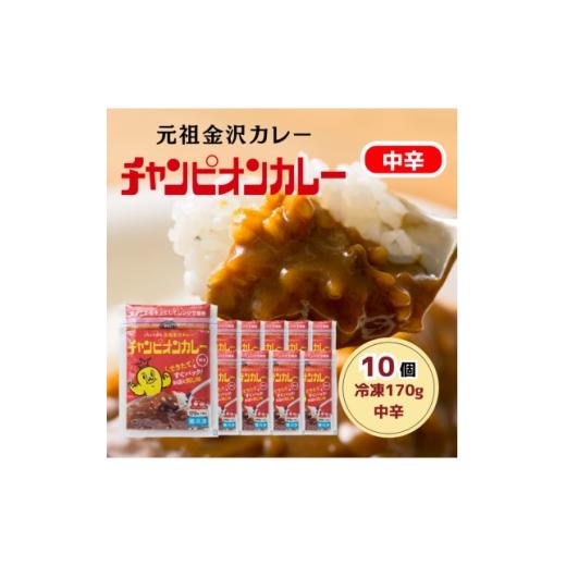 ふるさと納税 加工品等 レトルト 石川県 野々市市 冷凍170g中辛10個セット 1739394