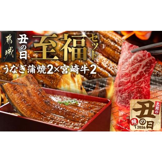 ふるさと納税 牛肉 焼肉・バーベキュー 宮崎県 都城市 丑の日 宮崎県育ちのうなぎ蒲焼2尾300g以上 山椒・たれ付 &amp;宮崎牛赤身(ウデorモモ)焼肉500g×2パッ…