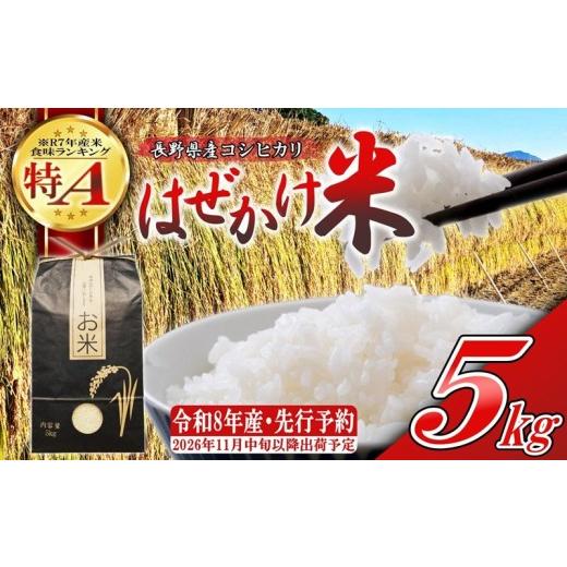 ふるさと納税 米 コシヒカリ 長野県 佐久市 令和8年産・白米5kg 長野県産こしひかり はぜかけ米(北海道・沖縄県・離島は配送不可) 先行予約・2026年11月下…