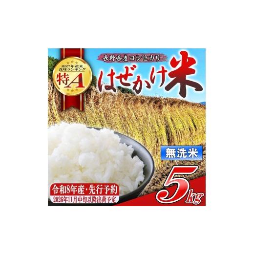 ふるさと納税 米 コシヒカリ 長野県 佐久市 令和8年産・無洗米5kg 長野県産こしひかり はぜかけ米(北海道・沖縄県・離島は配送不可) 先行予約・2026年11月…
