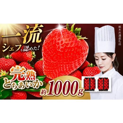 ふるさと納税 いちご 栃木県 矢板市 栃木県産 完熟とちあいか 1080g(270g×4p) 栃木県 矢板市 完熟とちあいか 1080g | 19000円