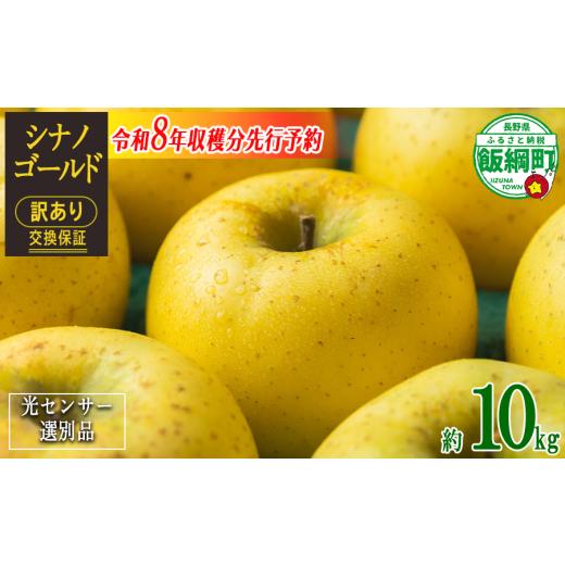 ふるさと納税 りんご 長野県 飯綱町 感謝りんご / 光センサー選別品 りんご シナノゴールド 訳あり 10kg ( 24玉 〜 50玉 ) 交換保証 ながの農業協同組合 …