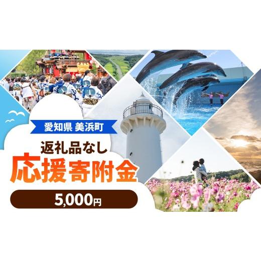 ふるさと納税 自治体にお任せ 愛知県 美浜町 愛知県美浜町 返礼品なしの寄附 5,000円| 愛知県 美浜町 応援寄附金 | 5,000円