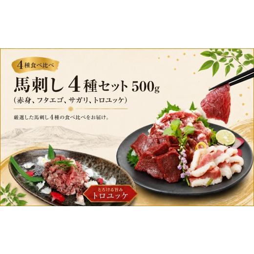 ふるさと納税 馬肉 長野県 伊那市 馬刺し 4種セット 500g(赤身、フタエゴ、サガリ、トロユッケ) 馬刺しの長野屋 | 馬刺し 赤身 タレ付き 馬刺し 馬刺 長野 …