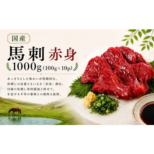 ふるさと納税 馬肉 長野県 伊那市 馬刺し 国産 赤身 1000g(100g×10p) 馬刺しの長野屋 | 馬刺し 赤身 ロース タレ付き 鮮馬刺し 馬刺し 馬刺 長野 信州 馬肉…