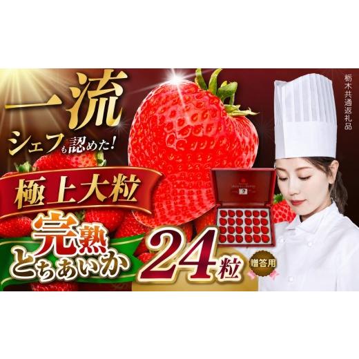 ふるさと納税 いちご 栃木県 矢板市 栃木県産 完熟とちあいか ギフトボックス [大粒極上] 贈答用 ボックス(24粒) 栃木県 矢板市 極上大粒 24粒 | 36000円