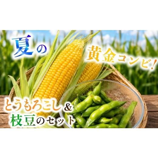 ふるさと納税 セット・詰合せ 静岡県 牧之原市 とうもろこし 5本 & ぷっちぷち 枝豆 3袋 6月順次発送 夏の黄金コンビ 朝採り とうもろこし 枝豆 セット バー…