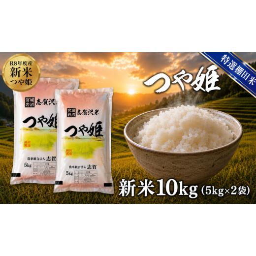 ふるさと納税 米 つや姫 宮城県 岩沼市 令和8年産 新米 特選棚田米 つや姫 10kg おこめ お米 白米 精米 コメ ライス ごはん ご飯 国産米 棚田米 ブランド米 …