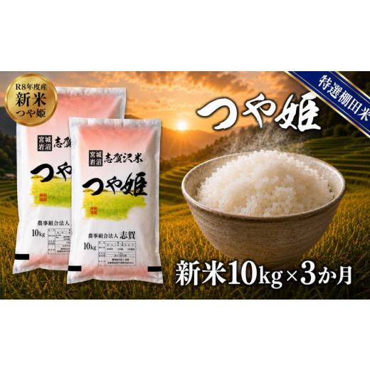 ふるさと納税 米 つや姫 宮城県 岩沼市 令和8年産 新米 特選棚田米 つや姫 定期便 10kg 3ヶ月 おこめ お米 白米 精米 コメ ライス ごはん ご飯 国産米 棚田米…