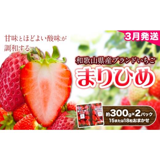 ふるさと納税 いちご 和歌山県 日高町 2027年3月頃発送予定 和歌山県産ブランド いちご「まりひめ」約300g×2パック (15または18粒おまかせ) 日高町厳選館[3…
