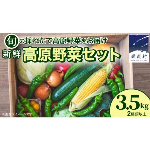 ふるさと納税 セット・詰合せ 群馬県 嬬恋村 7月中旬発送開始 旬の採れたて 新鮮 高原野菜 セット 3.5kg 2種以上 野菜 旬の野菜 夏野菜 野菜セット ズッキー…