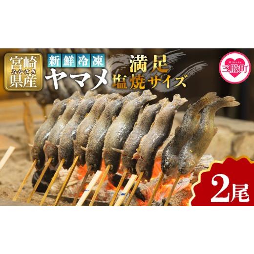 ふるさと納税 川魚 やまめ 宮崎県 三股町 新鮮冷凍ヤマメ 2尾 国産 九州産 尺ヤマメ 山女魚 水産物 魚 魚介 川魚 養殖魚 塩焼き MI770-sk 有限会社しゃくなげ…