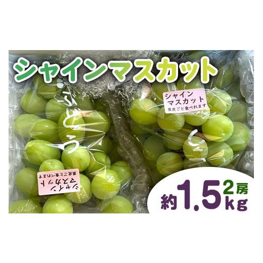 ふるさと納税 ぶどう マスカット 大阪府 交野市 シャインマスカット約1.5kg(2房)|ブドウ 葡萄 ぶどう 神宮寺ぶどう 織姫の里からの贈り物 0668