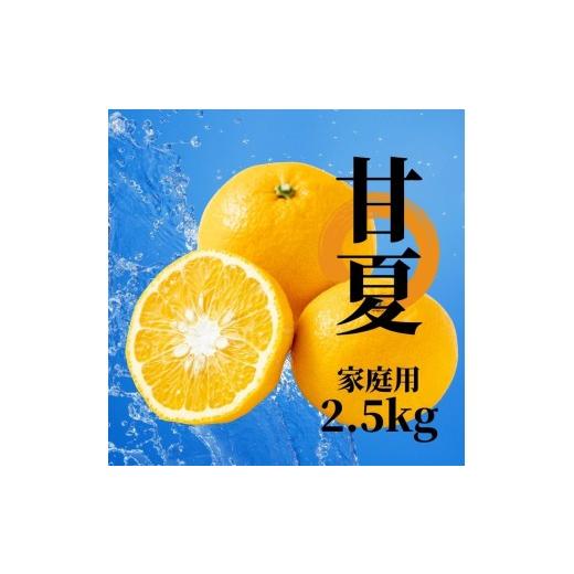 ふるさと納税 みかん・柑橘類 愛媛県 松山市 2027年2月下旬頃から順次発送 甘夏 家庭用 約2.5kg | 愛媛 愛媛県産みかん 蜜柑 ミカン mikan みかん あまなつ …