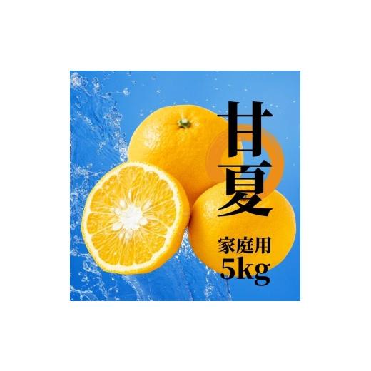 ふるさと納税 みかん・柑橘類 愛媛県 松山市 2027年2月下旬頃から順次発送 甘夏 家庭用 約5kg | 愛媛 愛媛県産みかん 蜜柑 ミカン mikan みかん あまなつ 柑…
