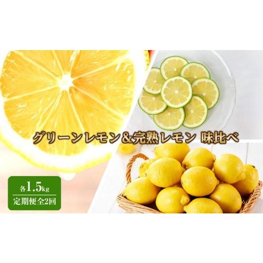ふるさと納税 みかん・柑橘類 レモン 広島県 尾道市 期間限定 旬のレモンを味わう グリーンレモン&完熟レモン 味比べ定期便3kg (1.5kg×全2回)