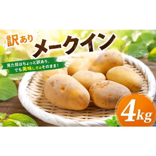 ふるさと納税 野菜類 じゃがいも 福岡県 柳川市 先行予約 訳あり 柳川市産 訳あり じゃがいも 約4kg (2026年6月上旬-8月下旬頃出荷)福岡県 柳川市 ジャガイ…