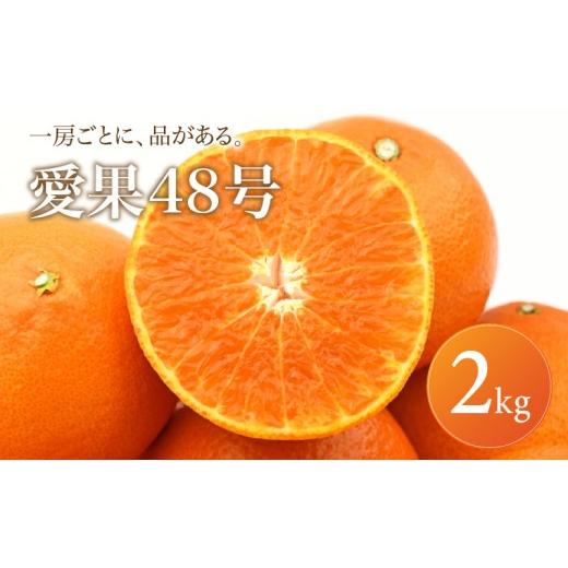 ふるさと納税 果物類 みかん 愛媛県 松山市 2027年2月下旬頃から順次発送 あいか48号 家庭用 2kg | みかん 愛果48号 あいか 蜜柑 アイカ 柑橘 果物 愛媛のみ…