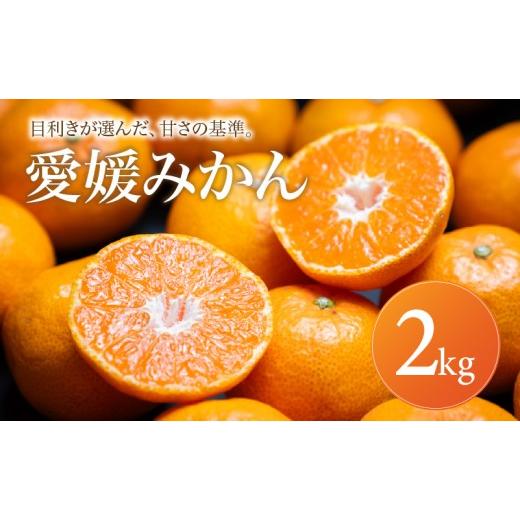 ふるさと納税 果物類 みかん 愛媛県 松山市 愛媛 みかん 家庭用 2kg 2026年11月上旬頃から順次発送 | 温州みかん ミカン mikan みかん 蜜柑 訳ありフルーツ 柑…