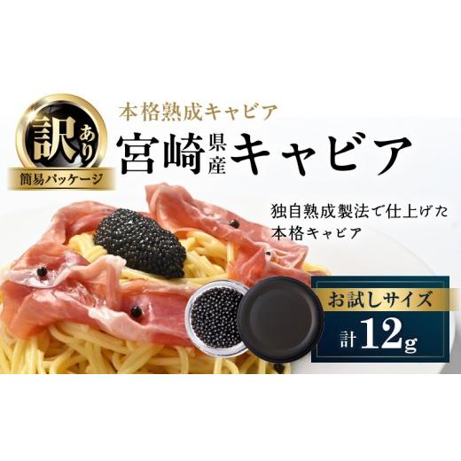 ふるさと納税 魚貝類 キャビア 宮崎県 日南市 数量限定 訳あり 本格熟成キャビア 宮崎県産キャビア 12g 魚卵 魚介 魚貝 国産 食品 加工品 チョウザメ おつまみ…