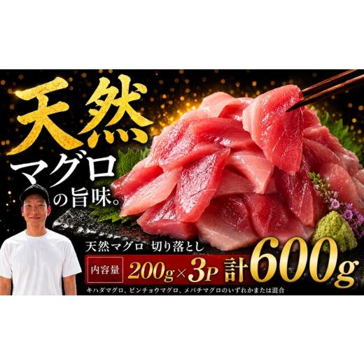ふるさと納税 マグロ 高知県 安芸市 天然マグロ切り落とし 200g×3P│天然マグロ 切り落とし 刺身 マグロ丼 冷凍 高知県 ふるさと納税 キハダマグロ ビンチョ…