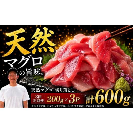ふるさと納税 マグロ 高知県 安芸市 3回定期便 天然マグロ切り落とし 200g×3P│天然マグロ 切り落とし 刺身 マグロ丼 冷凍 高知県 ふるさと納税 キハダマグ…