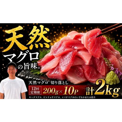 ふるさと納税 マグロ 高知県 安芸市 12回定期便 天然マグロ切り落とし 200g×10P│天然マグロ 切り落とし 刺身 マグロ丼 冷凍 高知県 ふるさと納税 キハダマ…